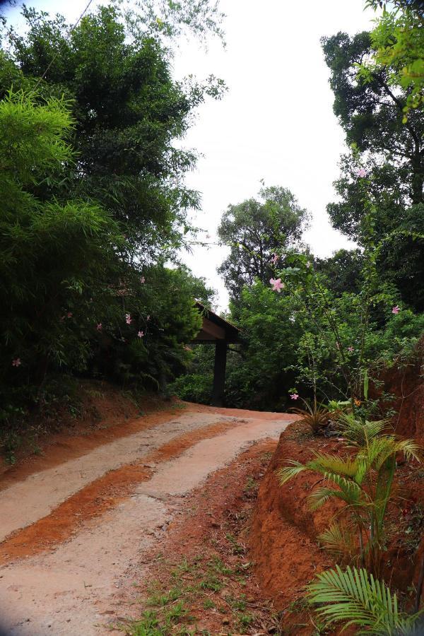 Coorg Nature Breeze Home Stay Madikeri Extérieur photo