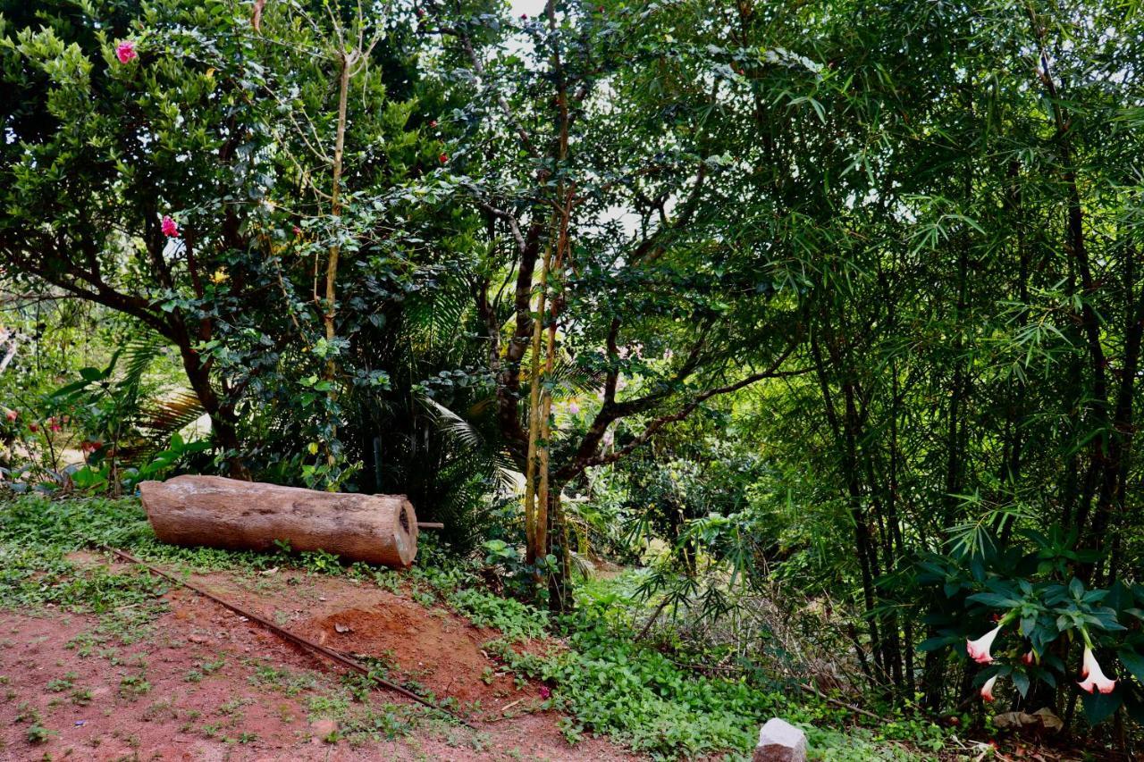 Coorg Nature Breeze Home Stay Madikeri Extérieur photo